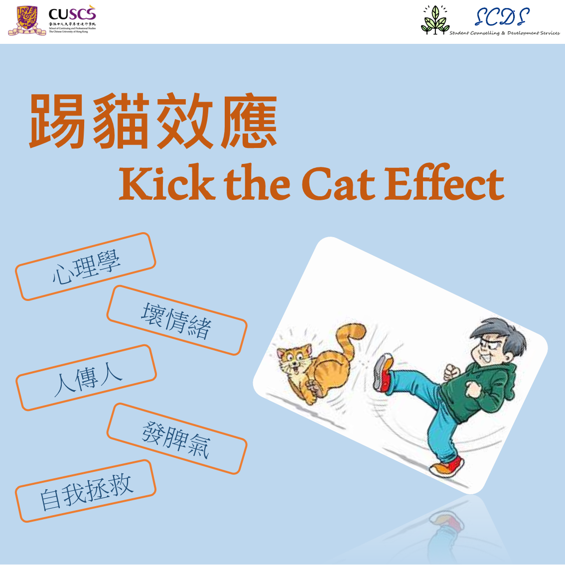 「踢貓效應」（kick the cat effect）